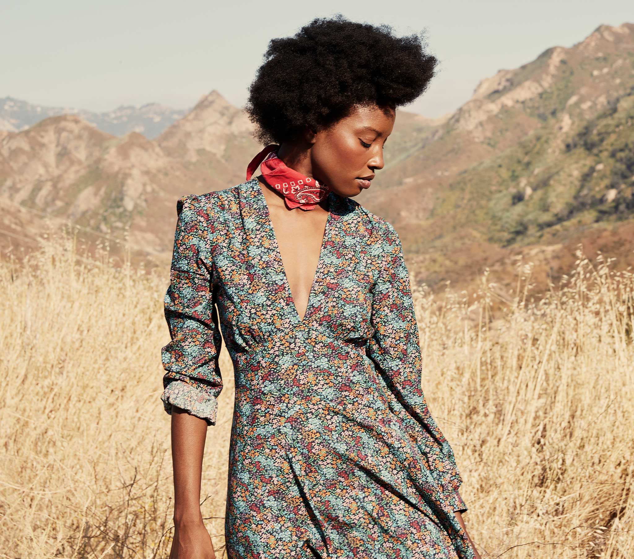 HMD -- CHARLESTON DRESS -- NAVY LADY BIRD FLORAL