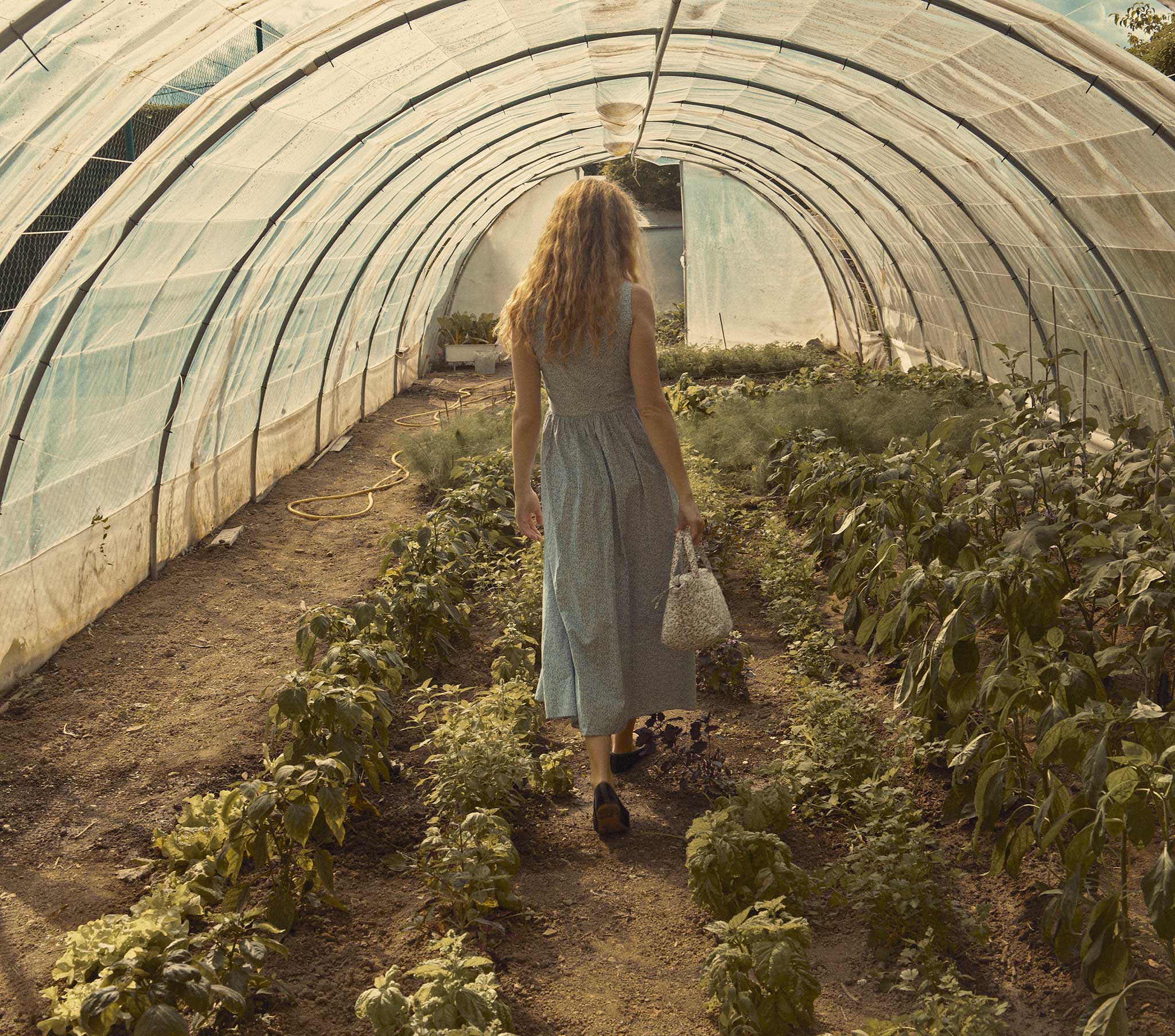 HMD -- MAE DRESS -- BLUE COTTAGE IVY FLORAL