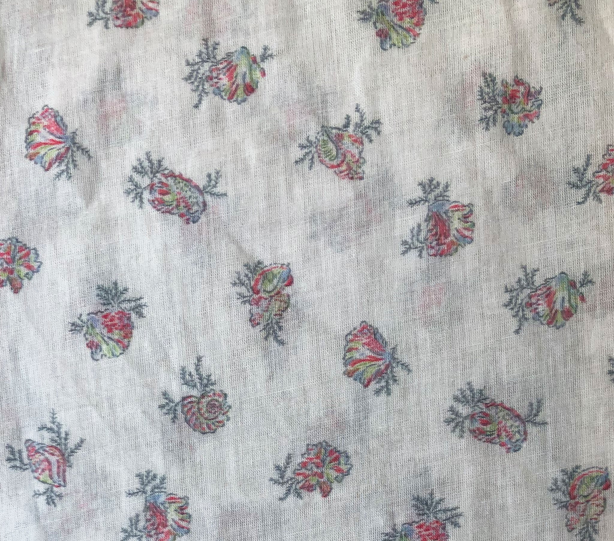 HMD -- HICKORY TOP -- COQUILLE MEDALLION