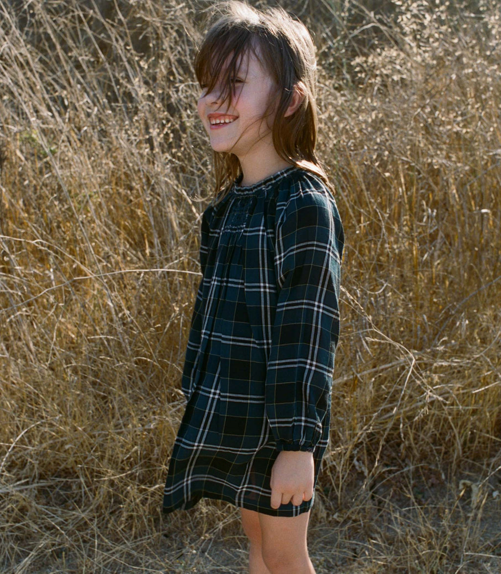 LUCY DRESS -- AMBLE PLAID